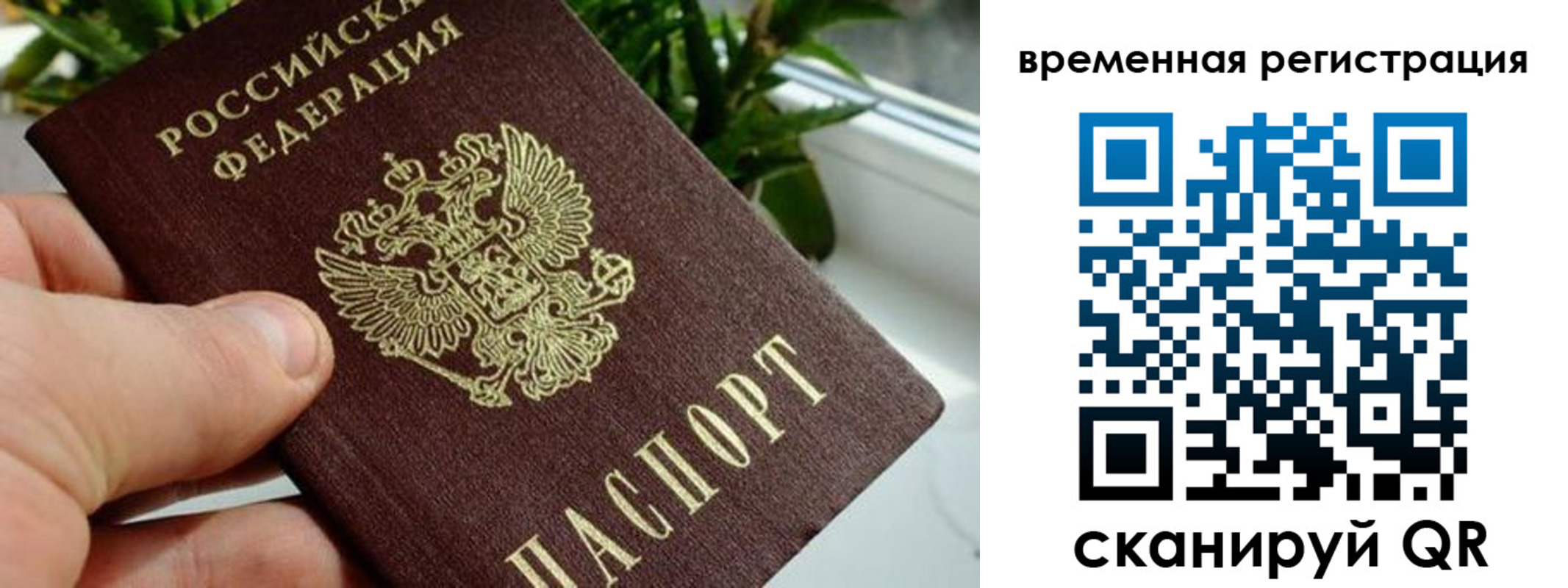 прописка поиск в Беломорске